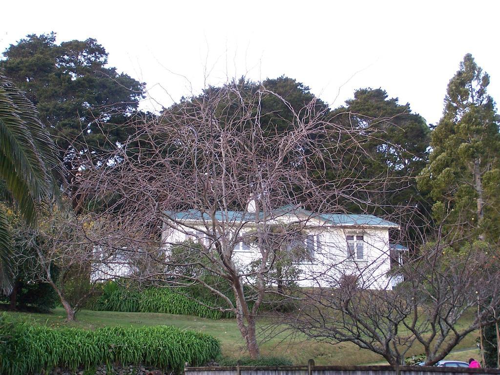 לינה וארוחת בוקר פאנגאריי Kauri Nest מראה חיצוני תמונה
