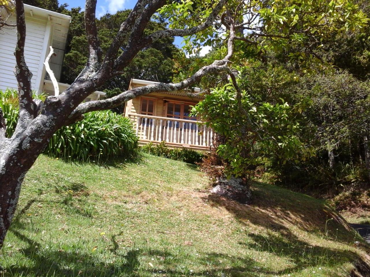 לינה וארוחת בוקר פאנגאריי Kauri Nest מראה חיצוני תמונה