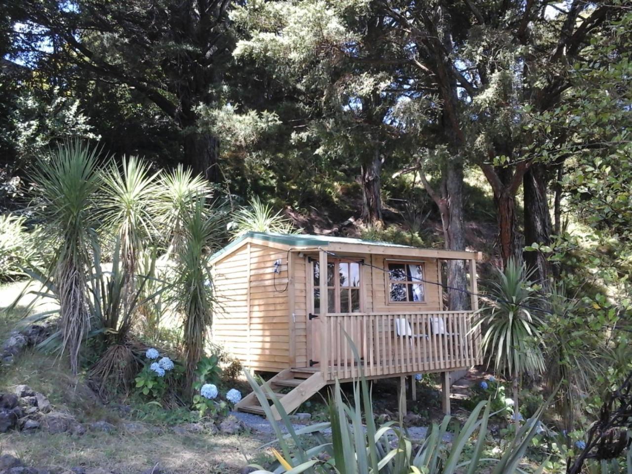 לינה וארוחת בוקר פאנגאריי Kauri Nest מראה חיצוני תמונה